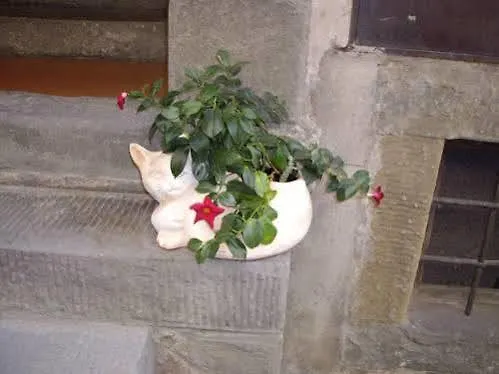 Sabrina Hotell Cortona